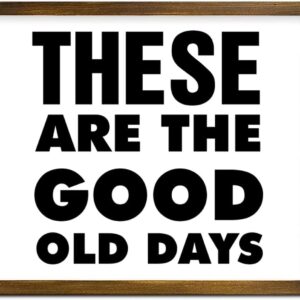Frame Wall Sign These are The Good Old Days Rustic Wood Sign Bible Inspirational Quote Wood Framed Sign Family Quote Rustic Framed Wooden Sign for Home Bedroom Kitchen 16x20in