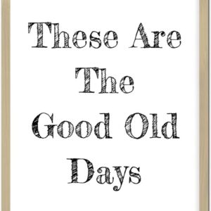 Rustic Chic Style Wood Framed Sign with Classic Quotes These Are the Good Old Days Frame Wooden Plaque for Home Farmhouse Porch Wall Decor 16x20inch